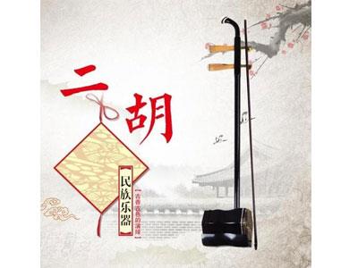 招聘徐州二胡家教老师